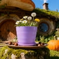 thumbnail image 5 of 3 Inch Succulent Planter – Modern Indoor Flower Pot Flowerpots with Dish for Cactus & Bonsai (Black), 5 of 5