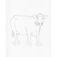 thumbnail image 3 of Green, Jacob 20x24 Black Modern Framed Museum Art Print Titled - Limousin Cattle III, 3 of 5