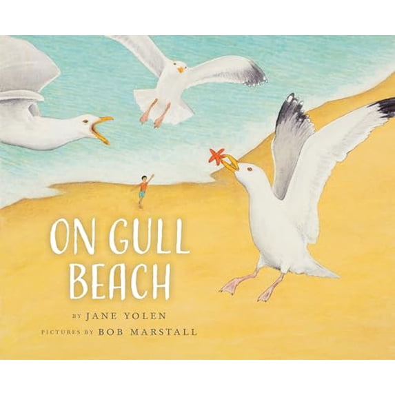 Pre-Owned On Gull Beach (Hardcover) 1943645183 9781943645183