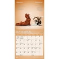 thumbnail image 4 of Yoga Puppies & Kittens Together OFFICIAL | 2027 7x14" (Hanging) Mini Wall Calendar, 4 of 9