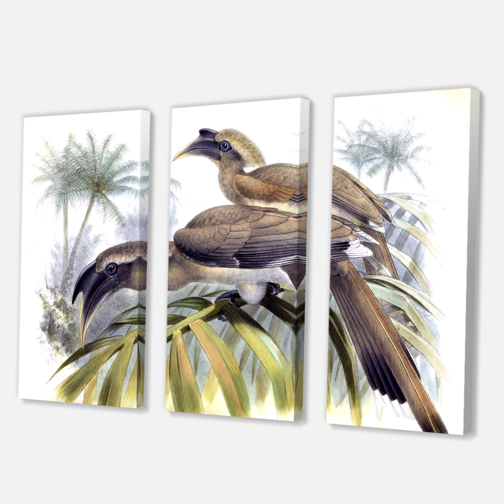 Designart ' Ancient Australian Birds XIV ' Traditional Canvas Wall Art Print