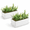 14.5 inch (Pack of 2), variant on 14 Inch Ceramic Indoor Plant Pot With Drainhole Rectangular Succulent Planter Window Box Removable Saucer Unglazed White (pack Of