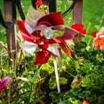 thumbnail image 3 of In the Breeze 2761 — Spirit Pinwheels, Red/Silver, 8", 8 Piece, Colorful Garden Accents, Team Spirit Decorations, 3 of 5
