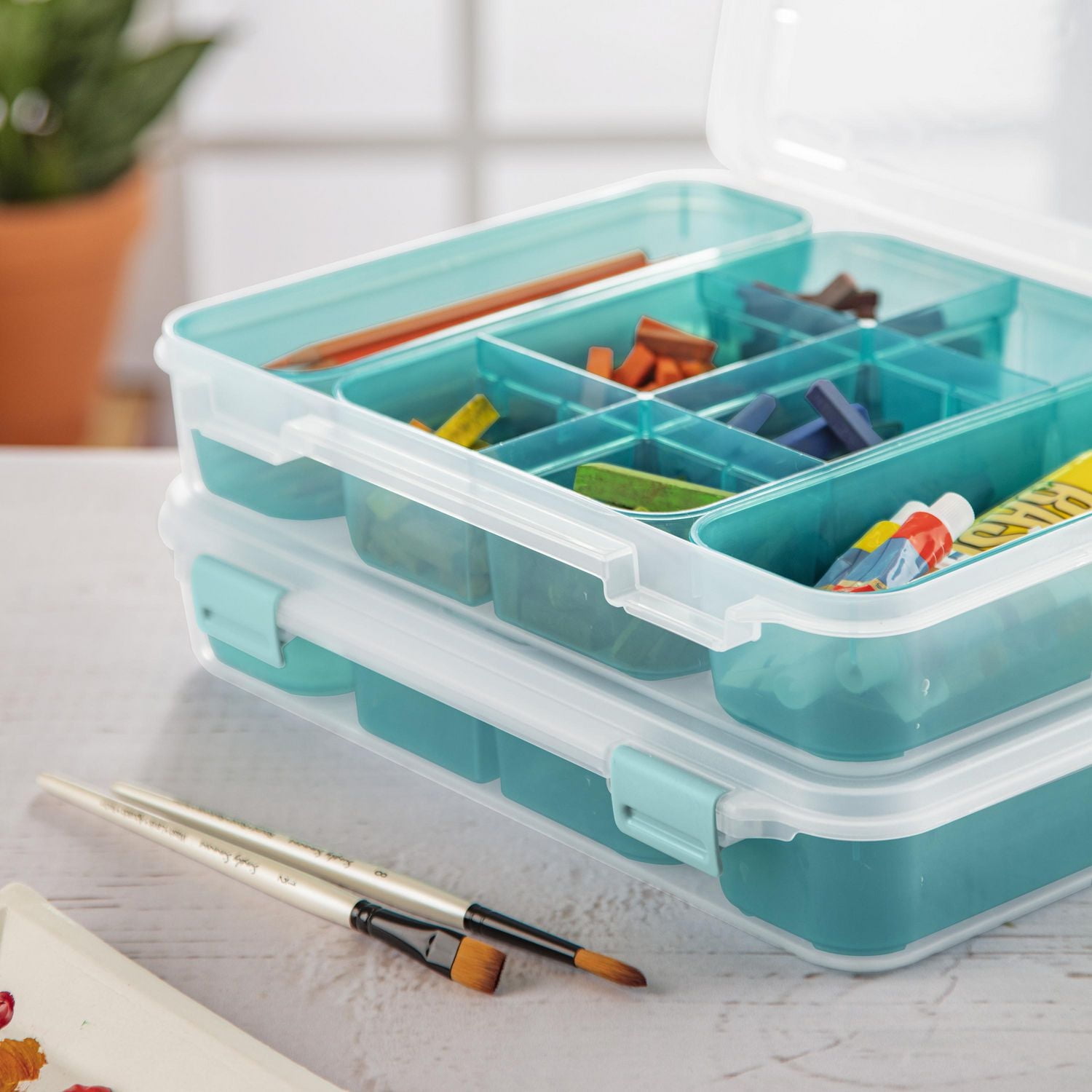 Sterilite Divided Case Storage Container