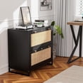 thumbnail image 5 of Wood Rattan 2-Drawer Lateral File Cabinet with Lock for Home Office Black, 5 of 5