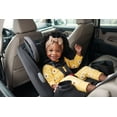 thumbnail image 3 of Safety 1ˢᵗ Grow and Go Sprint All-in-One Convertible Car Seat, Black Beauty, 3 of 29