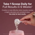 thumbnail image 5 of O Positiv FLO Creatine + Electrolytes Drink Mix for Brain Health & Fitness Recovery, 30 Servings, 5 of 8