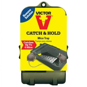 Victor Catch & Hold Mouse Trap, 2 Pack