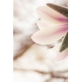 thumbnail image 2 of Shumilova, Ludmila 11x14 White Modern Wood Framed Museum Art Print Titled - Almost spring, 2 of 4