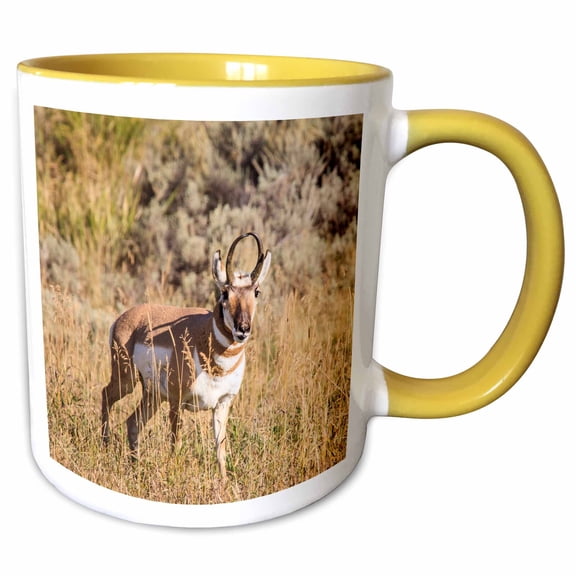 3drose, Prong Horn Antelopes. Yellowstone, Wyoming, Usa - Us51 Tno0012 - Tom Norring, 11oz Two-tone Yellow Mug
