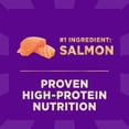 thumbnail image 5 of Wellness CORE+ Sensitive Skin & Stomach Dry Dog Food with Freeze Dried Pieces, Wholesome Grains, High Protein, Natural, Salmon & Rice Recipe, (4-Pound Bag), 5 of 10