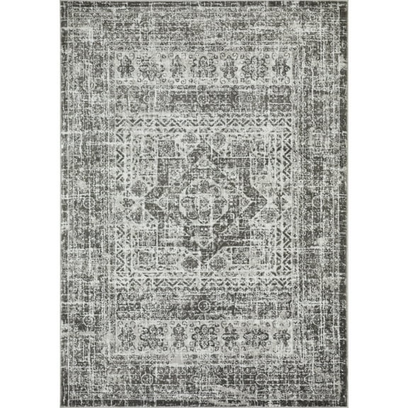 Loomaknoti Rhane Aberd 5' x 7' Gray Oriental Indoor Polypropylene Area Rug