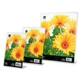 thumbnail image 3 of Kiera Grace Clear Dual L Photo Frame, 3 of 3
