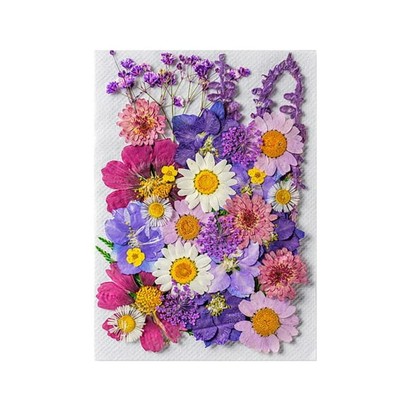 Bewildely Decoración de ramos de flores secas naturales, flores en relieve, plantas preservadas, suministros decorativos para maquillaje facial Type3 NO3