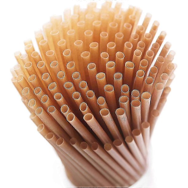 100pcs Sugarcane Straws 8 Inch Compostable Straws Biodegradable Eco-Friendly Drinking Straws