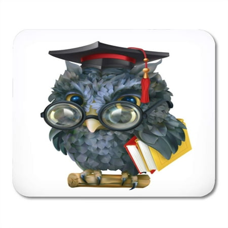 SIDONKU School Wise Owl Cartoon Character Mascot 3D Academic Bachelor Mousepad Mouse Pad Mouse Mat 9x10