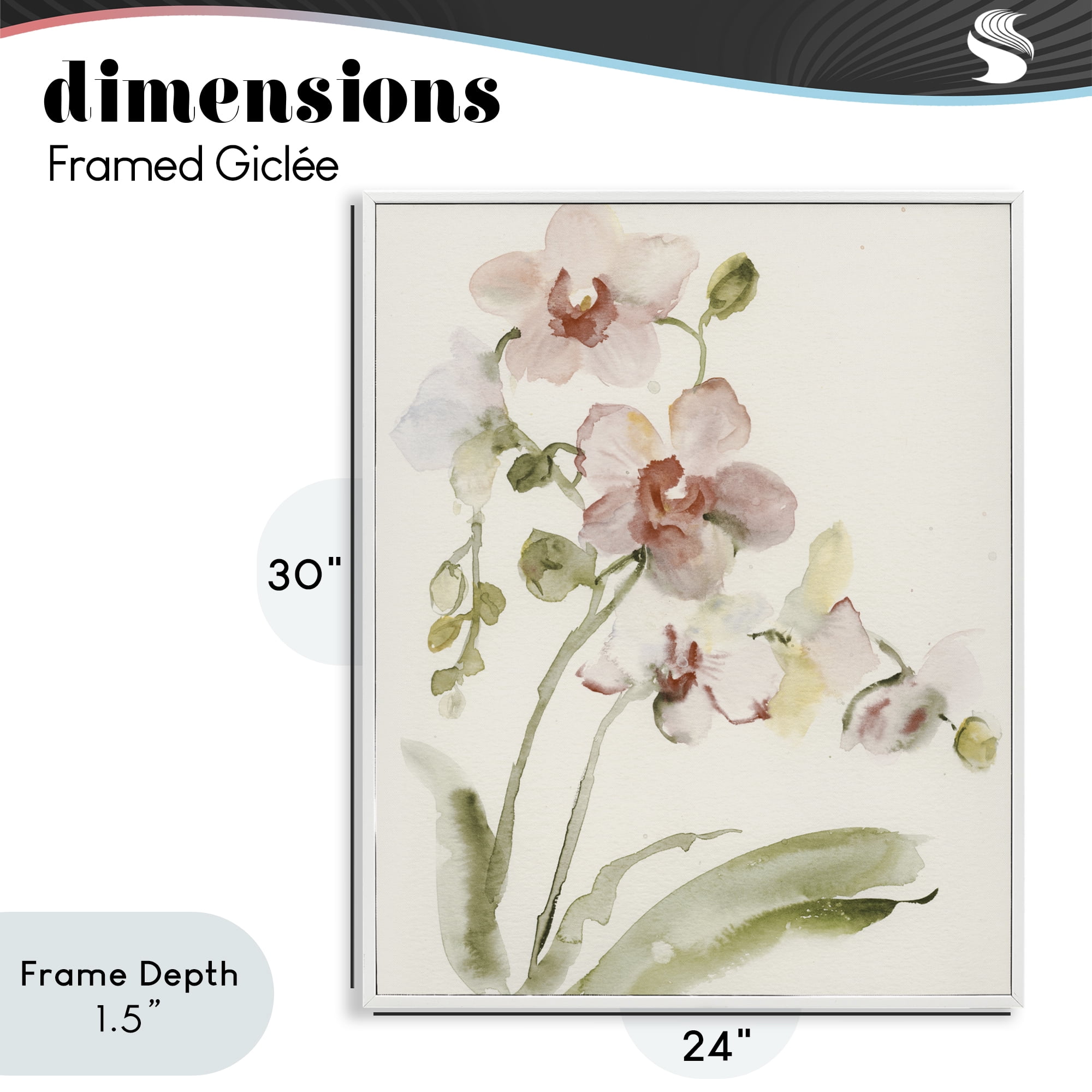 Stupell Industries Gentle Pink Orchid in Bloom White Framed Giclee Art, design by Victoria Barnes