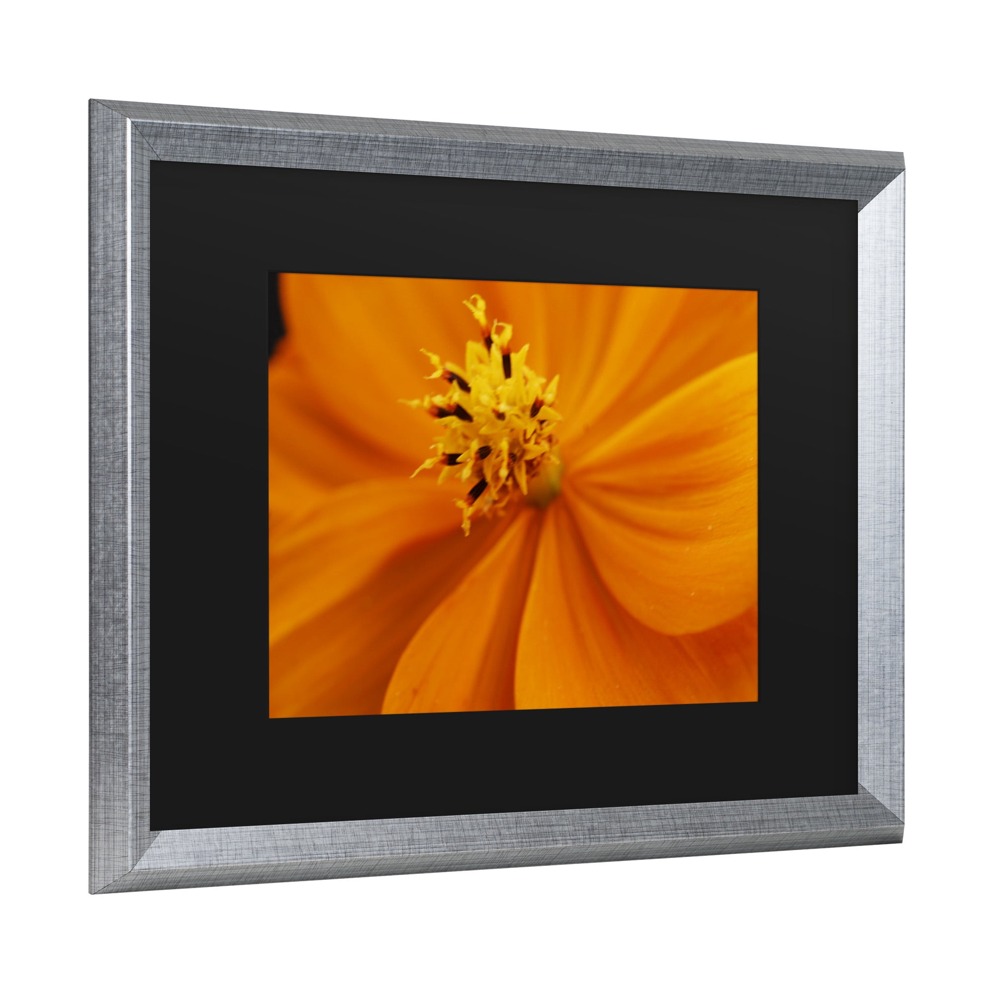 Trademark Fine Art 'Orange Flower' Canvas Art by Kurt Shaffer