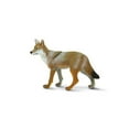 thumbnail image 5 of Safari Ltd. Coyote Figurine - Lifelike 3.75" Model Figure - Educational Toy for Boys, Girls, and Kids Ages 1+, 5 of 5