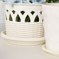thumbnail image 6 of ACDANC 6-Pack Thick Durable Plastic Plant Trays - Large Deep Saucers for Indoor Outdoor (15x2cm), 6 of 7