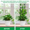 thumbnail image 4 of Cadre de Support pour Plantes d'Intérieur, 4 of 8