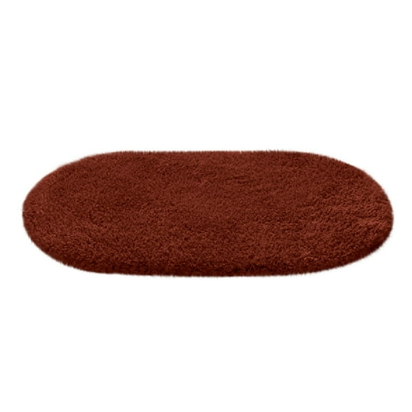 SDNall Tapis de Porte avant, Tapis de Bain pour Plancher de Salle de Bain, Tapis Ovales pour Salon - Tapis de Sol de Salle de Bain Absorbants pour Chambre et Entrée, Tapis de Sol pour la Maison
