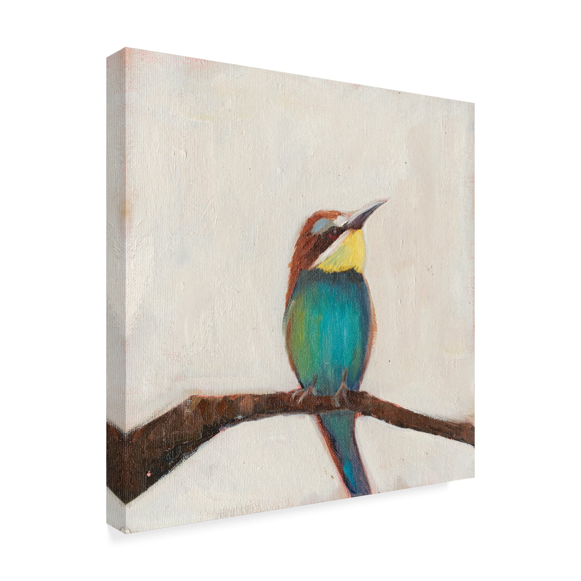 Trademark Fine Art 'Bird Profile II' Canvas Art by Sandra Iafrate