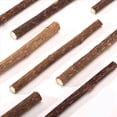 thumbnail image 2 of 45 Piezas de Palitos de Plata Natural para Palitos de Hierba Gatera Palitos de Masticación Matatabi Dientes Juguetes de Masticación Molares para la Limpieza de Dientes de, 2 of 7