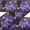 Purplish Blue, variant on IBA Indianbeautifulart Pink Dolphin,Balloon & Planets Galaxy Printed Ribbon&nbsp;Trim&nbsp;9 Yards Velvet Fabric Laces For Crafts Sewing Accessories 3 Inches