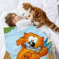 thumbnail image 2 of Heathcliff y los Gatos Catillac anti-pilling, suave, ligera, esponjosa y acogedora de lujo para hogar y cocina – Perfecta para niños y adultos,100X80cm, 2 of 6