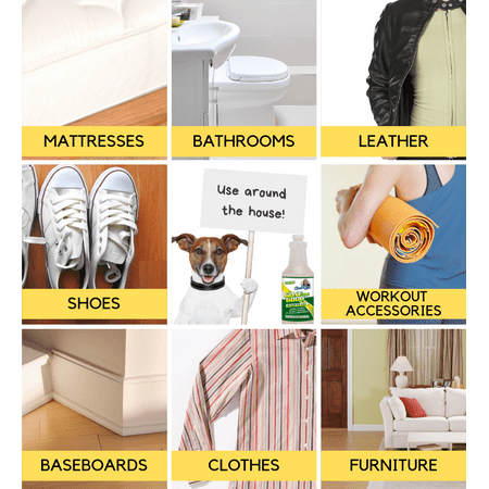 GONE FOR GOOD - Professional Enzymatic Urine, Stain & Odor Remover