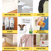 GONE FOR GOOD - Professional Enzymatic Urine, Stain & Odor Remover