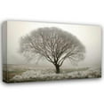 thumbnail image 1 of Vitaly Geyman 44x31 Gallery Wrapped Canvas Wall Art Titled - Tranquility II, 1 of 4