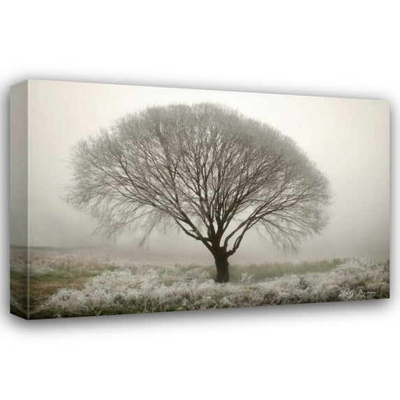 Vitaly Geyman 44x31 Gallery Wrapped Canvas Wall Art Titled - Tranquility II