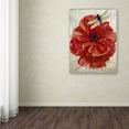 thumbnail image 4 of Trademark Fine Art "Le Pavot Dragonfly" Canvas Art by Color Bakery, 4 of 4