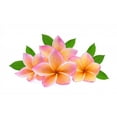 thumbnail image 2 of Frangipani Tropical Flower Plumeria Wall Decal Wallmonkeys Peel and Stick Graphic (18 in W x 11 in H) WM502910, 2 of 4