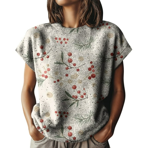 ZJXFGS Womens Short Sleeve Sweater Short Sleeve Sweaters formal Tops Sweaters for Women Trendy Gray L