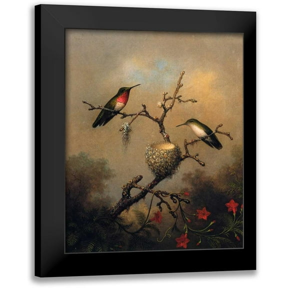 Heade, Martin Johnson 12x14 Black Modern Framed Museum Art Print Titled - Ruby Throated Hummingbird
