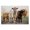 Baby Calves Farm, variant on Stupell Industries Farmhouse Peaceful Cattle Rural Open Farmland Gold Floating Frame Canvas Art, 31 x 25, by Dakota Diener
