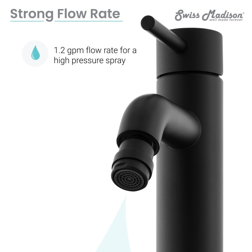 Ivy Bidet Faucet in Matte Black