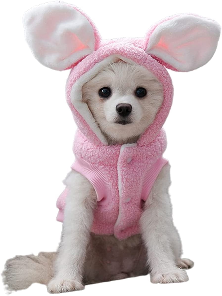 dog bunny costumes