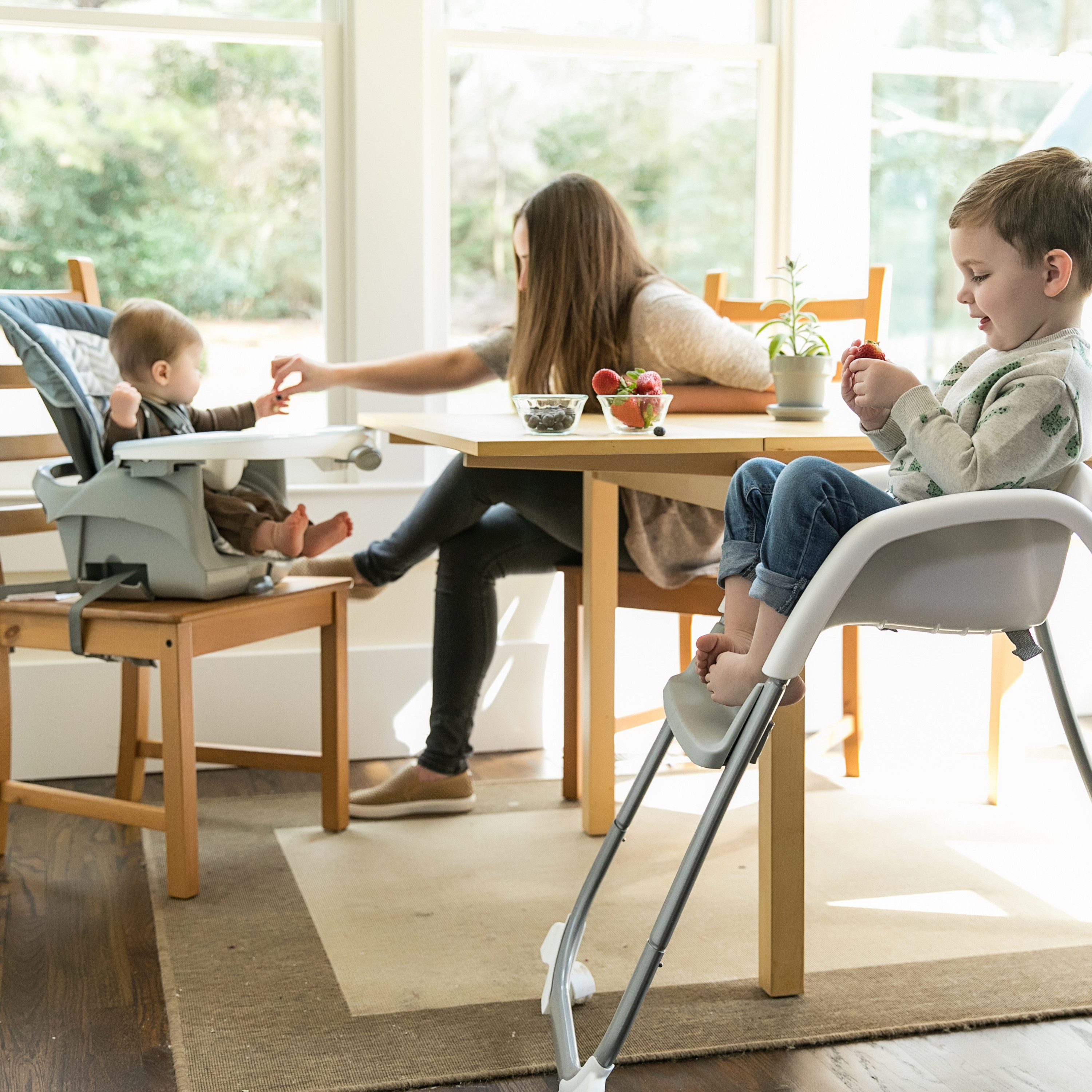 ingenuity elite high chair