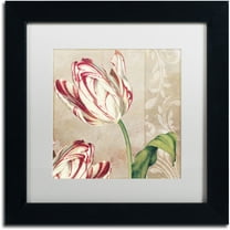 Trademark Fine Art "Peppermint Tulips I" Canvas Art by Color Bakery White Matte, Black Frame