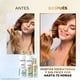 thumbnail image 4 of Shampoo Equilibrante Pantene Pro-V Miracles Equilibrio Raíz y Puntas 510 ml, 4 of 5