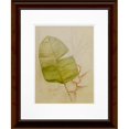 thumbnail image 1 of Timeless Frames 55318 16 x 20 Po Journal Botanique I Cadre Photo, 1 of 1