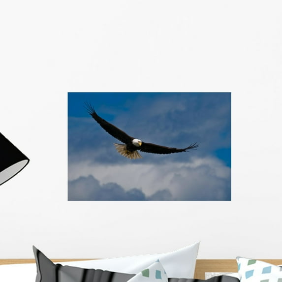 Bald Eagle Soaring Wall Mural by Wallmonkeys Peel and Stick Graphic (18 in W x 12 in H) WM36051
