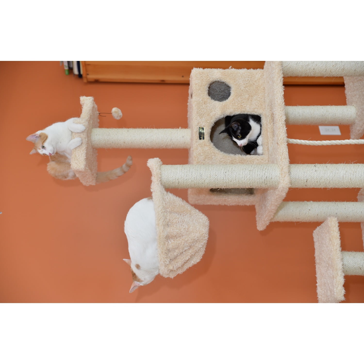 Armarkat 69-in Mult -Level Real Wood Cat Tree Hammock Bed, Climbing Center for Cats and Kittens A6901 Beige