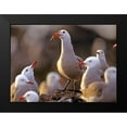 thumbnail image 2 of Fitzharris, Tim 24x19 Black Modern Framed Museum Art Print Titled - Heermans Gulls, 2 of 5