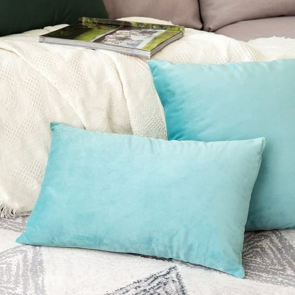 Wehilion 2pcs Velvet Pillow Covers Decorative Square Pillowcase Soft Solid Cushion Case for Spring Decor Sofa Bedroom Car