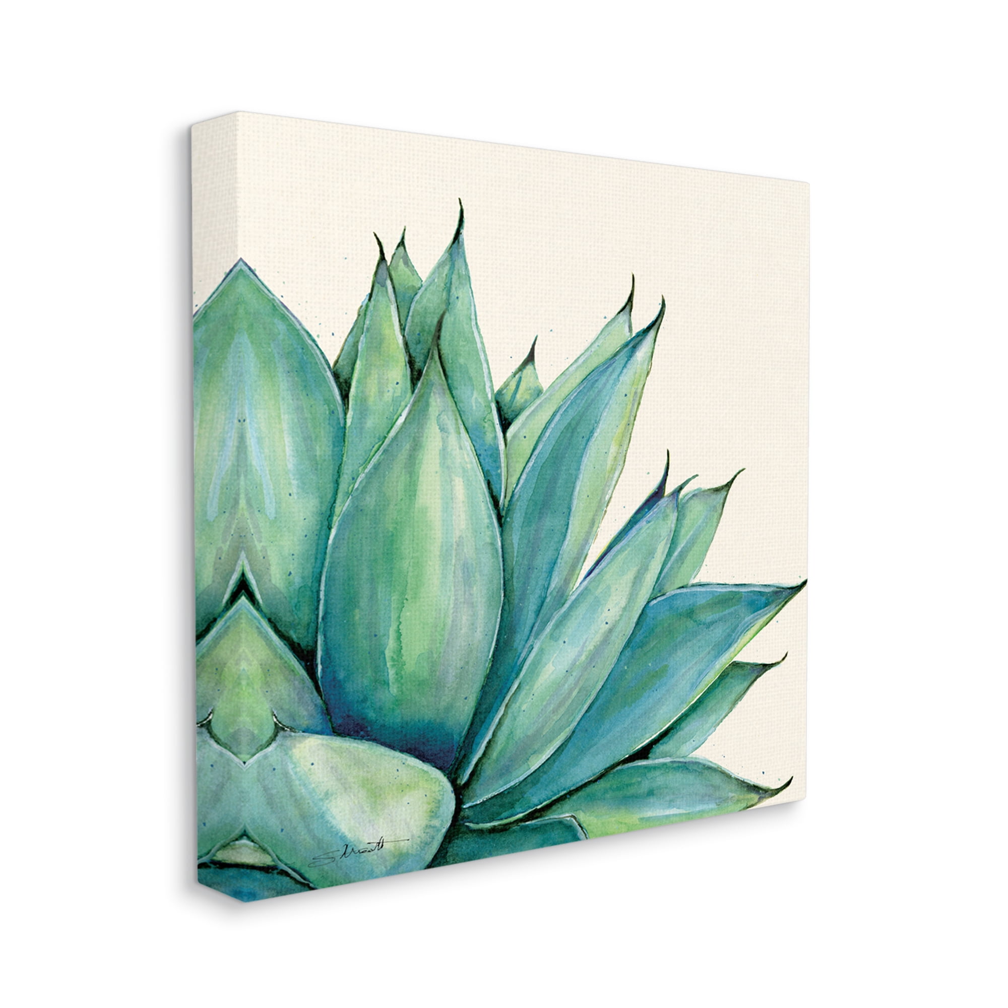 Stupell Aloe Plant Watercolor Style Leaves Botanical & Floral Painting Gallery Wrapped Canvas Print Wall Art